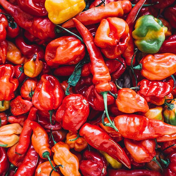 Chilli Eating Competition