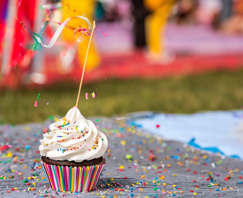 Cupcake Decorating Fun